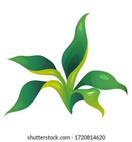 Jungle vegetation cartoon vector illustration. Long leaves fern. Decorative lush shrub. Rainforest greenery. Tropical bush flat color object. Exotic foliage isolated on white background