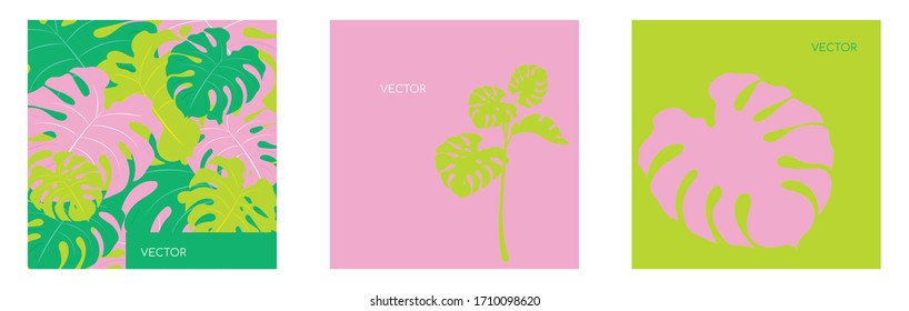 Jungle vegitation flat color vector backgrounds set. Yellow, pink monstera leaves. Tropical botanical motiff social media post mock up. Exotic summer foliage web banner templates pack