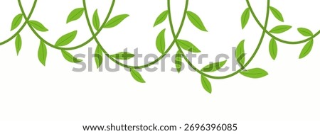 Jungle vine border decoration. Hanging Jungle branch plant leaf frame. Decorative nature element