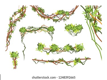 Jungle vine branches. Cartoon hanging liana plants. Jungle climbing green plant vector collection