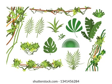 Jungle vine. Cartoon rainforest leaves and liana overgrown plants. Isolated vector set