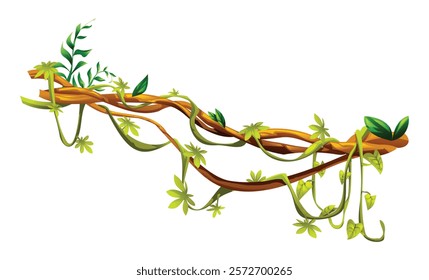 Jungle vine plants with leaves intertwined on liana branches. Vector cartoon illustration