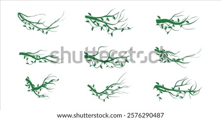 Jungle Vine Plants Set Illustration 