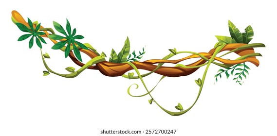 Jungle vine plants with various leaves wrapped around natural liana branches. Vector cartoon illustration