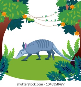 jungle, vines, Armadillo animal, vector illustration