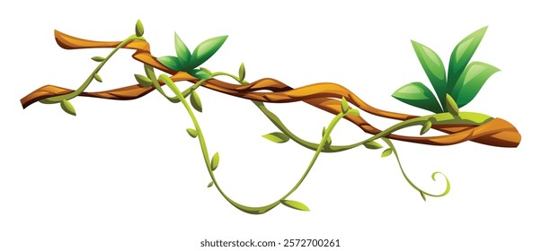 Jungle vines with leaves on liana branch curves. Vector cartoon illustration