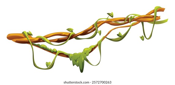 Jungle vines with lush leaves on liana branches. Vector cartoon illustration