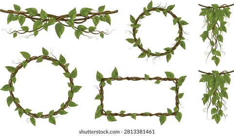 Jungle Vines, Tropical Leaf Frames And Botanical Borders Vector Bundle