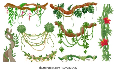 Jungle vines. Tropical tree branches with hanging liana ropes, green moss, exotic plant leaves and flower. Rainforest flora, vine vector set. Illustration branch and jungle forest of tree, green leaf