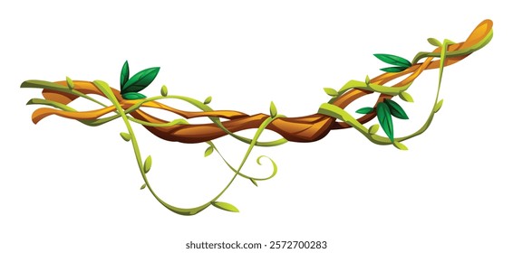 Jungle vines wrapped with leaves on liana branches. Vector cartoon illustration