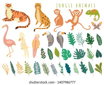 Jungle wild animal and exotic bird with exotic tropical leaves. Set with Isolated vector of tiger, monkey, leopard, chameleon, flamingos, parrot, cockatoo, toucan. Cartoon illustration