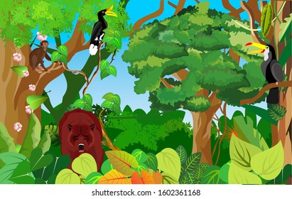 Jungle and wildlife illustration with bear on jungle wood vintage background. Tropical floral frame with night sky. Design template