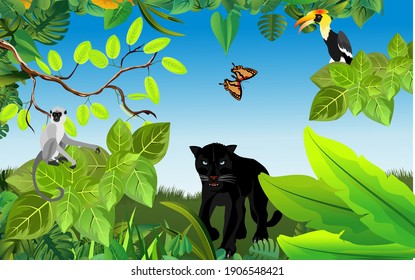 Jungle wildlife illustration. panther, toucan in the jungle, tropical plants and animals, vector