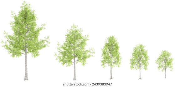 Jungle Willow oak trees shapes cutout 3d render