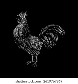 Junglefowl hand drawing vector isolated on black background.