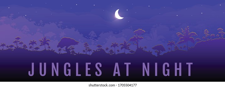 Jungles at night flat color vector banner template. Panoramic view on exotic woods. Moon cresent on dark sky. Travel to rainforest. Tropical 2D cartoon landscape with woods on background