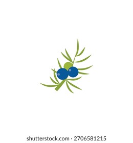 Juniper berries. flat vector illustration isolated on white background. easy to use