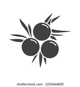 Juniper Berries icon flat design vector illustration on white background. svg