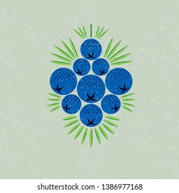 Juniper berries illustration. Juniper berries with leaves on shabby background. Original simple flat illustration. Shabby style.