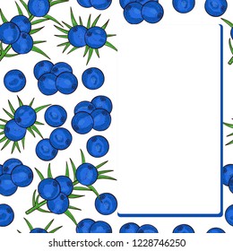 Juniper. Berries, leaves. Frame, postcard, congratulations. Template. Sketch. Color drawing.