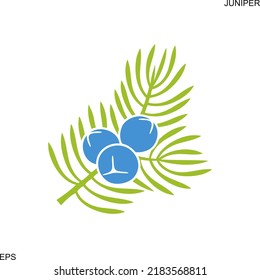 Logo der Wacholderbeeren Einzige Juniperbeeren auf weißem Hintergrund