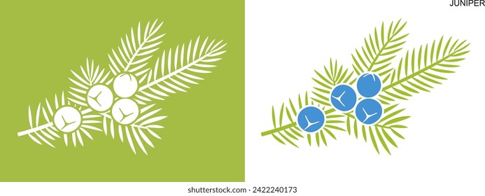 Juniper berries logo. Isolated Juniper berries on white background