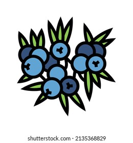 juniper berry color icon vector. juniper berry sign. isolated symbol illustration