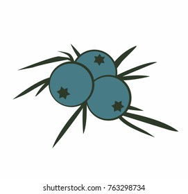 Juniper berry icon vector illustration isolated on white background
