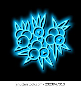 vector de señal de luz de neón de berry de enebro. ilustración de berry de enebro