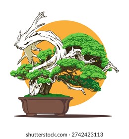 juniper bonsai image in vector style with inspiration from real bonsai plant
