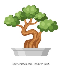 juniper bonsai tree vector illustration