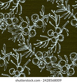 Patrón sin fisuras de rama de enebro. Azulejo Bohemio Floral. Vector de fondo floral. Plantas herbales.