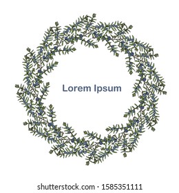 Juniper branch wreath, cone, Lorem Ipsum art design elements nature colorful object isolated stock vector illustration for web, for print