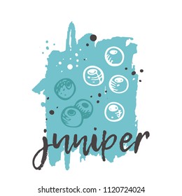 Juniper concept design. Hand drawn vector illustration. Herbs and spices. Can be used for farmers market, food festival, menu, cafe, restaurant, bar, poster, banner, emblem, sticker, placard.