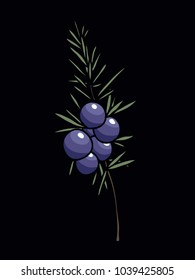 juniper doodle icon