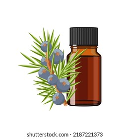 Juniper Essential Oil n brown glass bottle, herbal alternative medicine treatment product, vector Illustration on white background