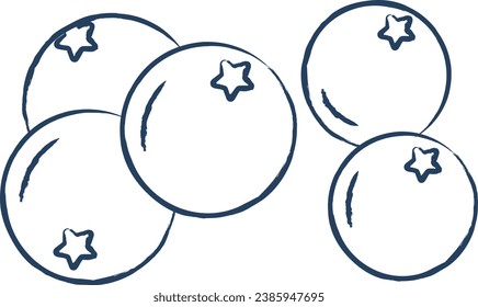 Juniper hand drawn vector illustration