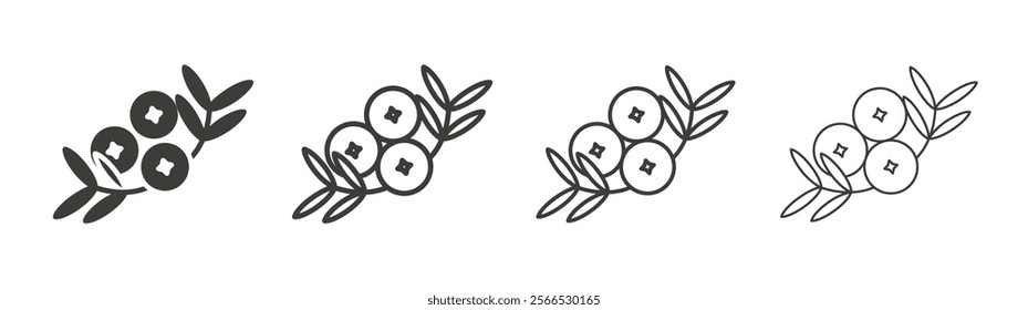 Juniper icon collection for website design, app, UI design.