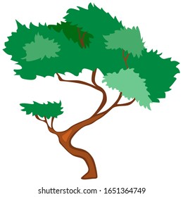 Juniper tree environment element. Minimalistic Crimean wood symbol for outline web logo, landscape design element, national park emblem, bag or hoody print. White isolated stock vector illustration