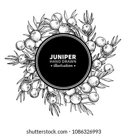 Juniper vector drawing frame. Isolated vintage  template of berry on branch. Organic essential oil engraved style sketch. Beauty and spa, cosmetic ingredient. Great for label, packaging design.