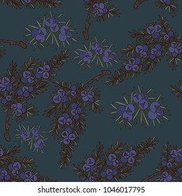 Juniper. Vector seamless pattern on a dark background for design. Hand drawing