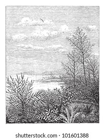 Jurassic Period, Showing Landscape, Vintage Engraved Illustration. Dictionary Of Words And Things - Larive And Fleury - 1895