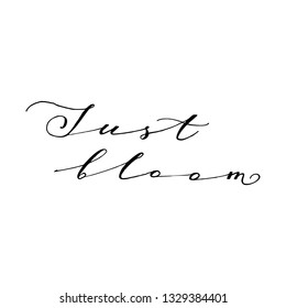 Just bloom - motivational, inspirational quote, hand-written text, lettering, vector illustration isolated on white background. Just Bloom inspirational lettering, calligraphy, hand-written text