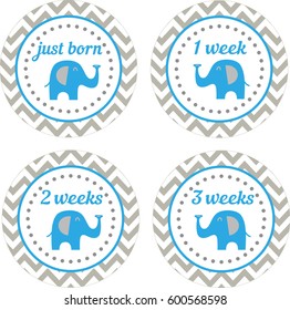 Just Born And Weeks Blue Gray Chevron Pattern Elephant Weekly Baby Stickers