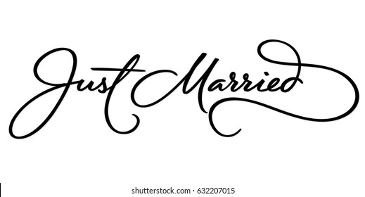 Just married graphics Royalty Free Stock SVG Vector