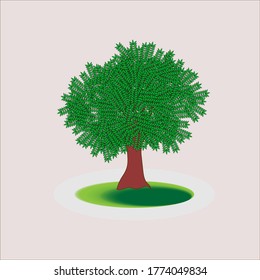 Nur ein Bild von einem grünen Baum. 