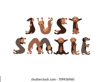 Just smile. Vector Inscription of dachshund dogs letters