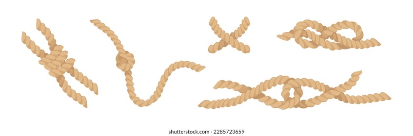 Jute Hemp Rope Cord Curved Pieces and Knot Vector Set