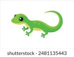 juvenile of green gecko image vector art work 