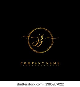 JZ Initial luxury handwriting logo vector